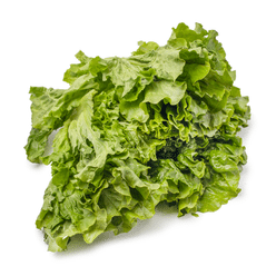 Green Leaf Lettuce Bunch 1 count