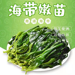 Seaweed seedlings 500g * 1 pack 500 g