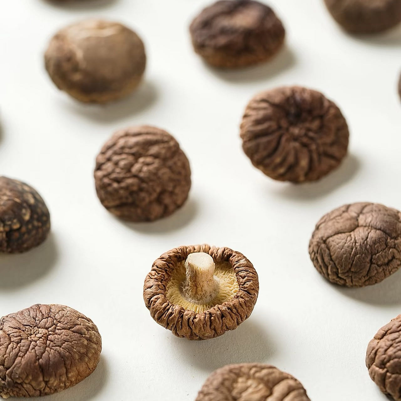 Premium Dried Shiitake Mushrooms 200 그램