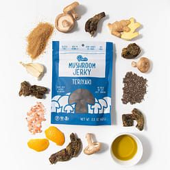Pan's Mushroom Jerky - Favorite Flavors Pack 11 oz