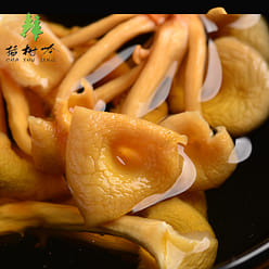 [Delicacy from Changbai mountain]Northeast elm yellow mushroom 250 g