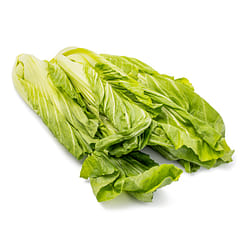 Small Gai Choy 1.95-2.05 lb