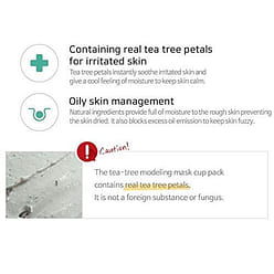 LINDSAY Modeling Rubber Mask 28g - Cool Tea Tree 1 each