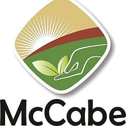 McCabe Organic Popcorn, 1 lb (16 oz), USDA Certified Organic, CCOF Organic Certi 1 lb