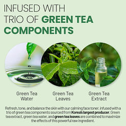 라빠레뜨 뷰티 카밍 그린 턴오버 토너 200 밀리리터