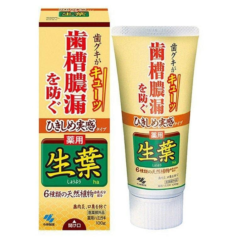 KOBAYASHI JAPAN Toothpaste Yellow 100 g