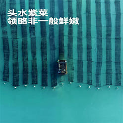 Baby is craving sesame seaweed sandwich crisps 18g 1 box