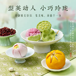 Southern Song Dynasty Hu Ji Lotus Pastry 300g/6pcs 300 g