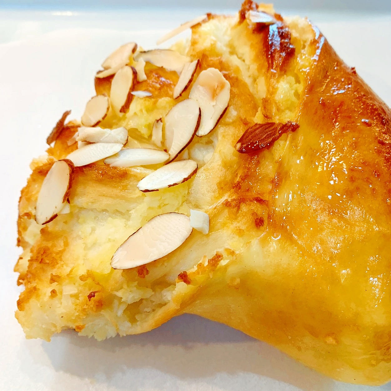 Coconut Bun 1 count