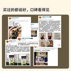 Taiwan Alishan Mountain Jinxuan Milk Oolong Tea 30 300 g