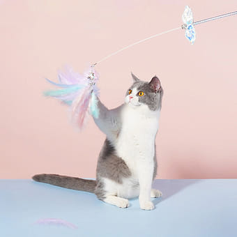 zeze藤编猫窝四季通用猫咪窝房子别墅猫咪用品- Weee!