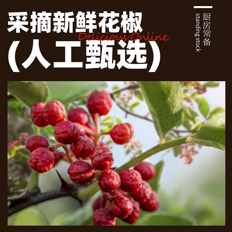 Fresh pepper chili Guizhou dipping extra Spicy 250 g