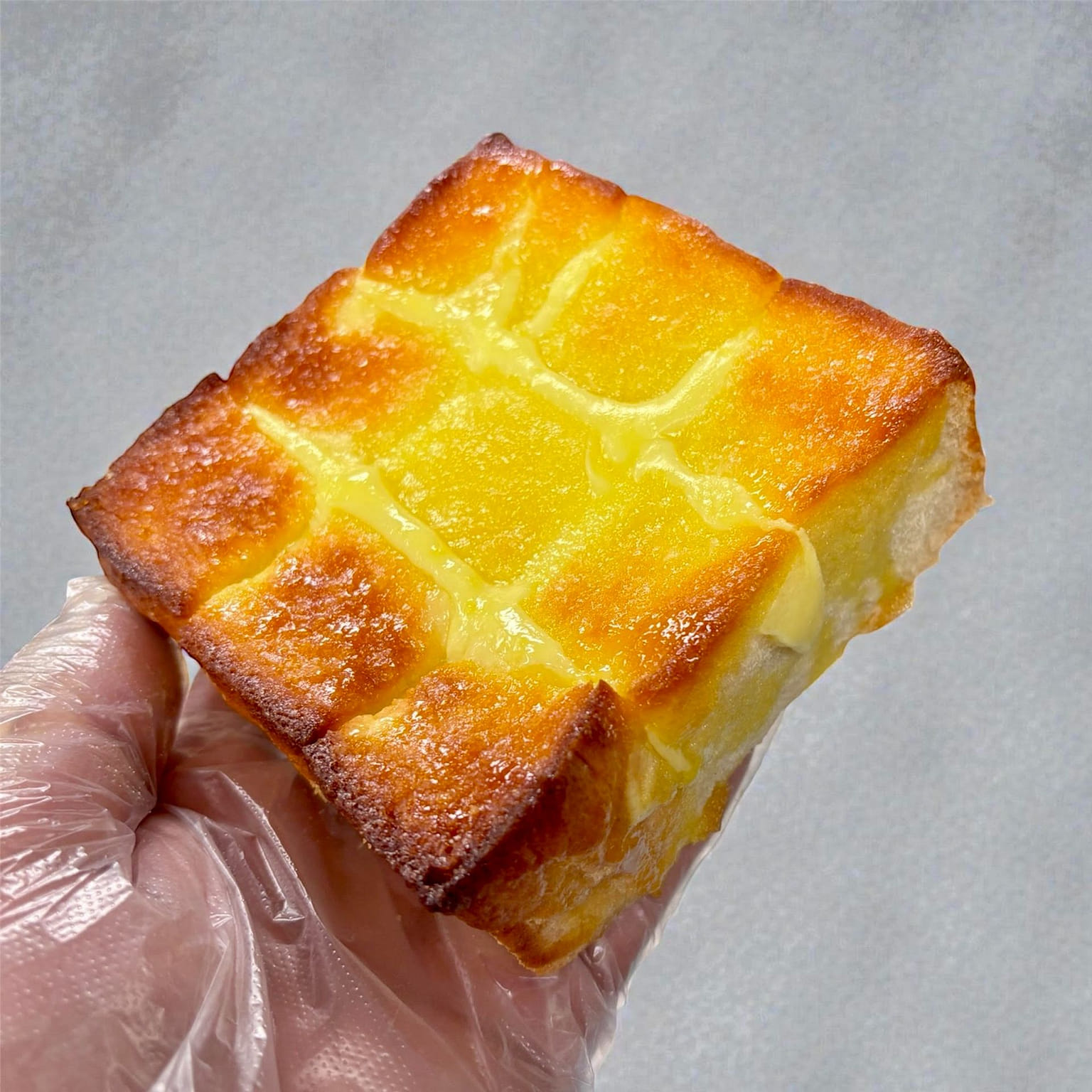 Custard Toast 1 ν©