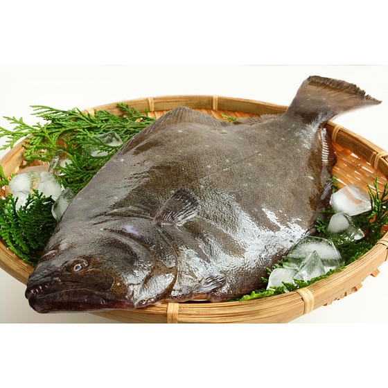 weee_seafood_Hirame 3.3 lb