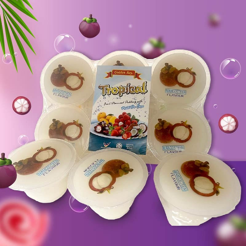 Tropical Pudding * Nata De Coco* mangosteen Flavour * 6 pcs /tray 23.28 온스