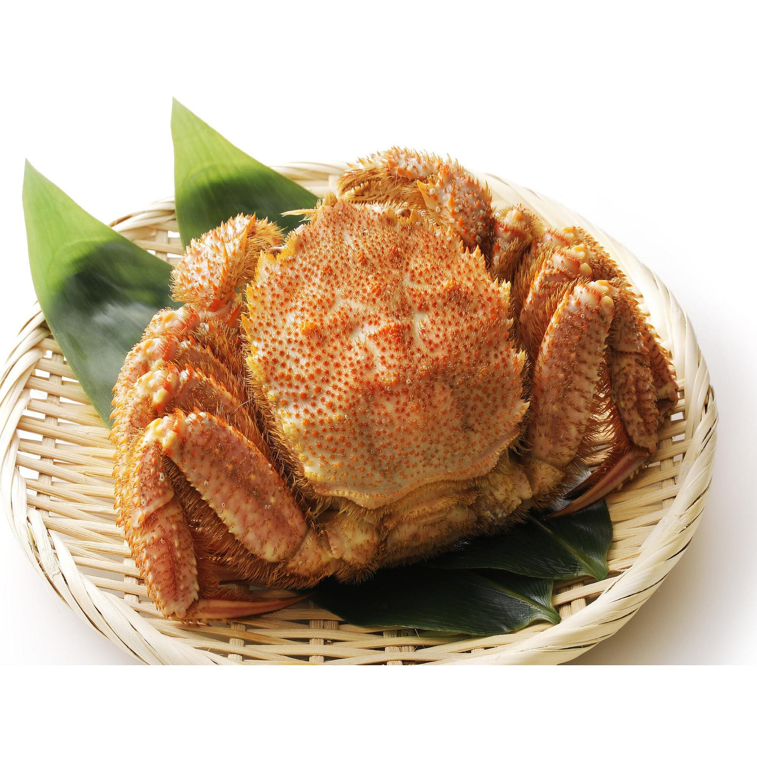 홋카이도 털게(케가니) 500g 1 개