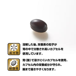 Nattokinase 4000FU 120 capsules 1 bottle