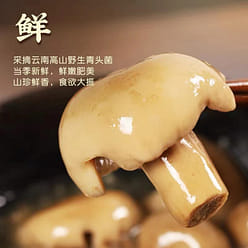 【德和】中华老字号 德和山珍青头菌罐头 云南特产 下饭菜酱拌面酱 300g*1罐 300 克