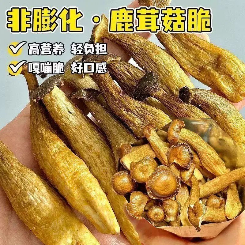 Deer antler mushrooms 15g*1 15 g