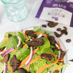 Pan's Mushroom Jerky - Favorite Flavors Pack 11 oz