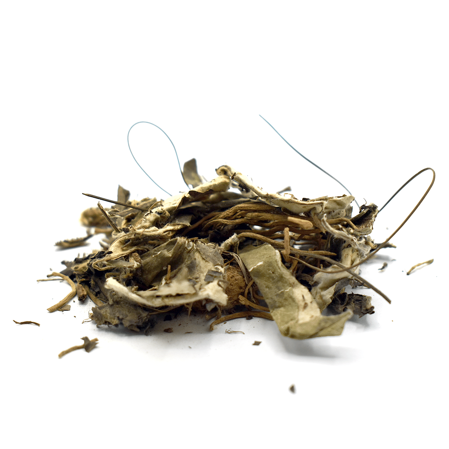 BAI MEI CAO - Herb of Pilose Gerbers - Custom Amount 1lb lb 1 each