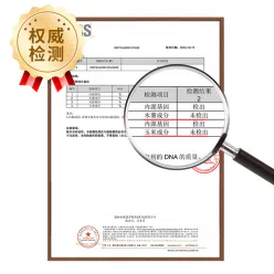 Sweet potato vermicelli 80g*3 bags 240 g