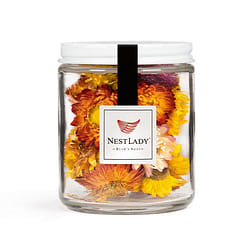 NESTLADY 피로 완화, 풍열 해독, 칠색菊花茶 1 개입