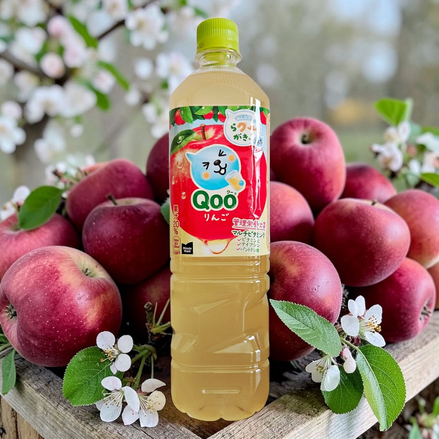 Coca Cola Minute Maid Japan Qoo Apple Juice Drink 950 밀리리터