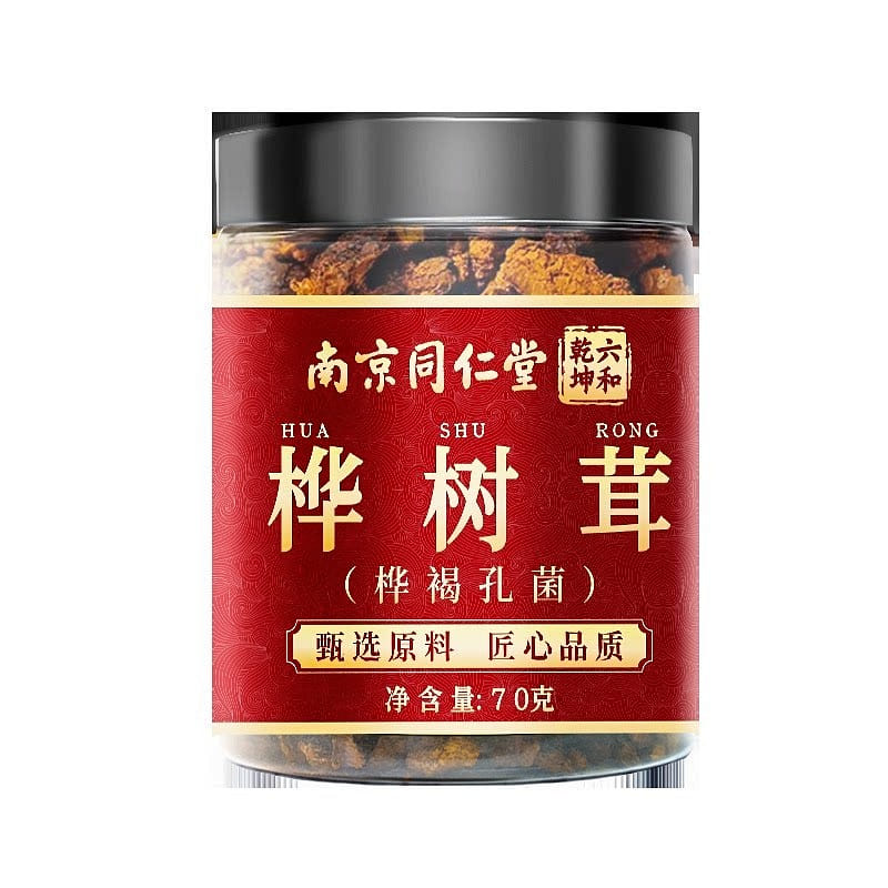 Nanjing Tongrentang Chaga Mushroom 70g 70 g