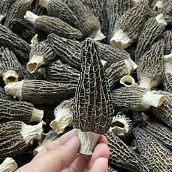 250g of Yunnan Deep Mountain morel mushrooms 250 g