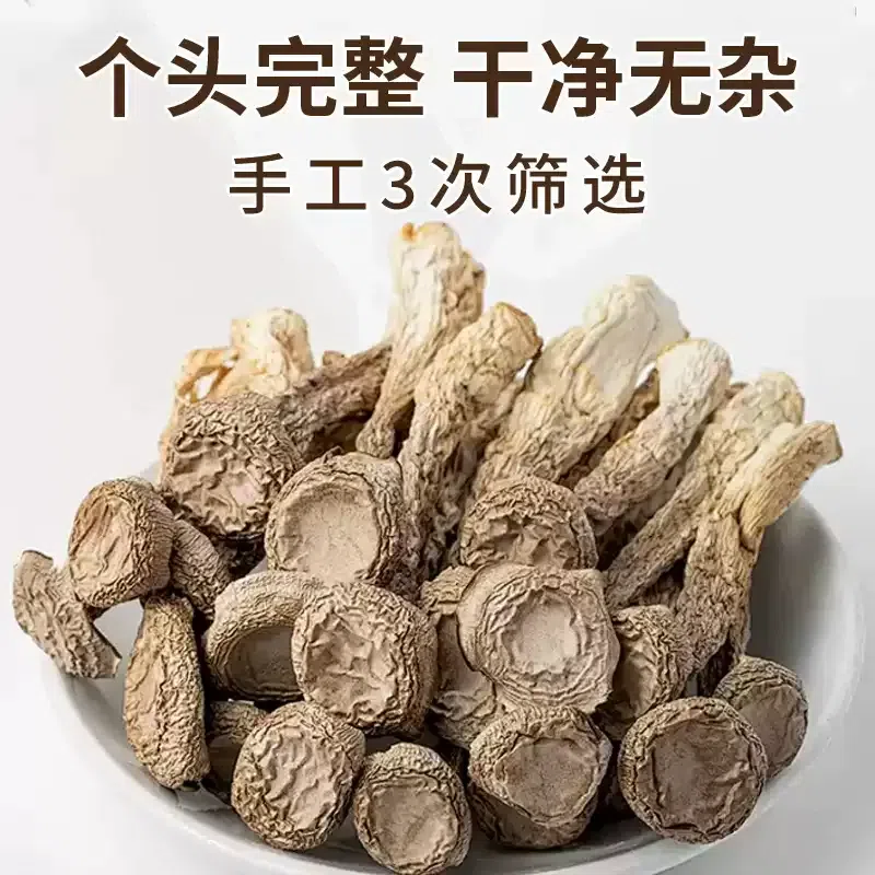 Premium Dried Pilose Antler Mushroom 250g 250 g