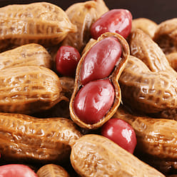 Shell-on Spiced Peanuts (Five-Spice Flavor) 250 g