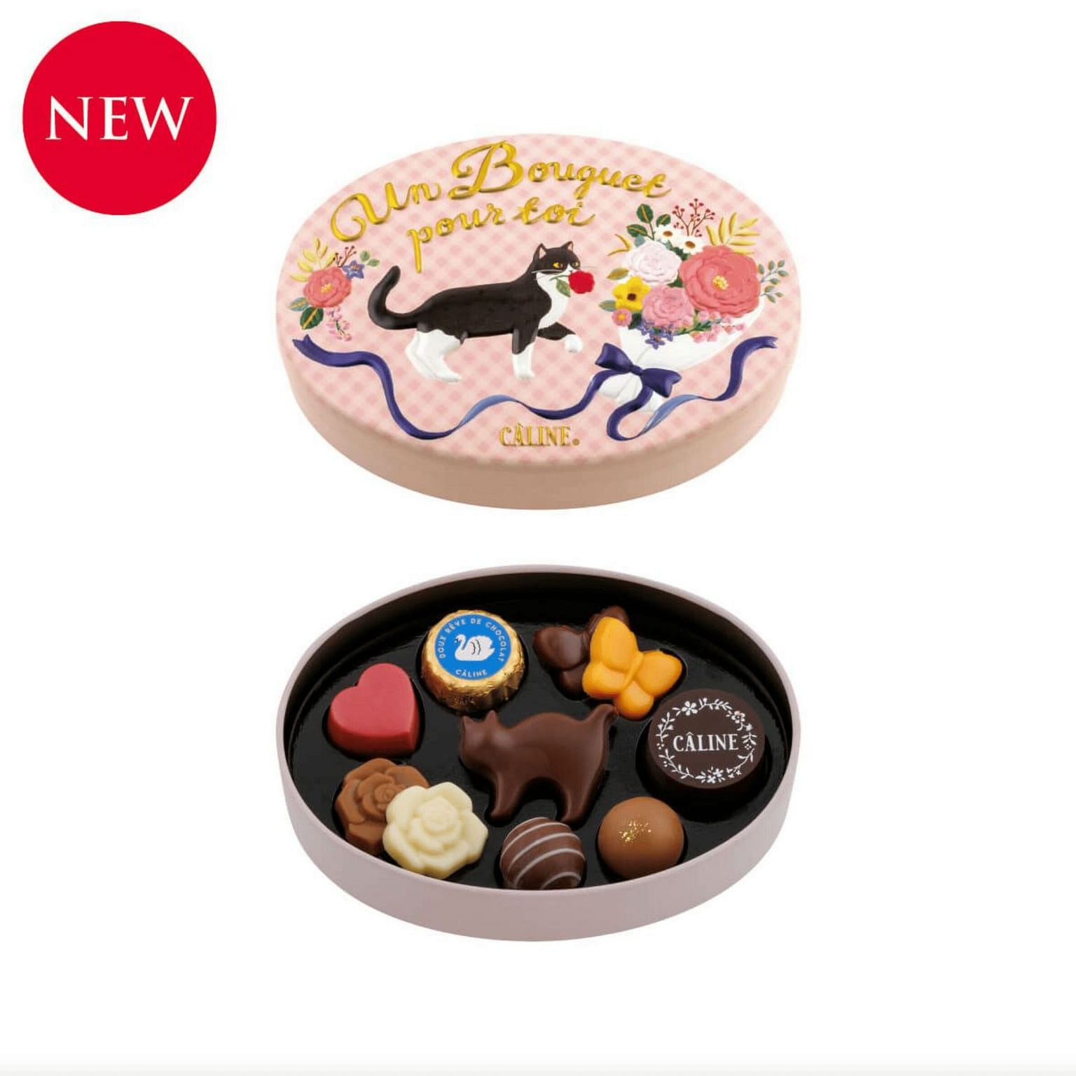 カリーヌ 10個入 1 箱
