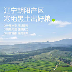 Organic Eight Treasure Rice 450 g