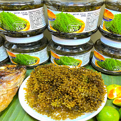 EXOTIC SEA GRAPES SEAWEED #SEAGRAPES DELICIOUS AMAZING LATOK LATO 230 g