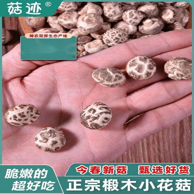 房縣椴木小花菇300g菌菇迷你蘑菇冬菇乾貨香菇 300 克