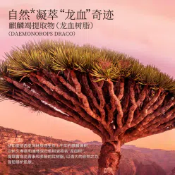 Fan Beauty 麒麟竭菌菇丝发酵修护⾯膜 160 毫升