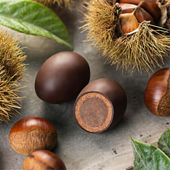 TAMAYA Chocolate marron tamago 4 pieces 1 box