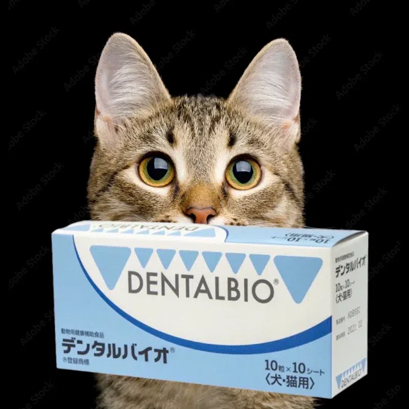 Kyoritsu Pharmaceutical Oral Antibacterial for Dogs and Cats Dentalbio 100pcs 1 อัน