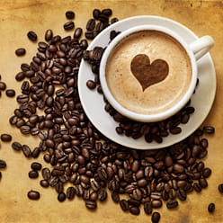 Premium Kaya Kopi Wild Palm Civets Process Luwak Light Roast / 100 Grams 