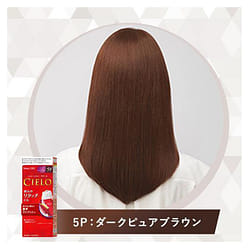 Hoyu Cielo Hair Color EX Cream 5P Dark Pure Brown 1 each