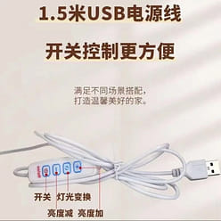 哪吒灯光画床头灯敖光A款充电款 A4大小 1 份