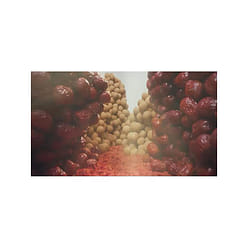 Fangjiapuzi dried seaweed 500 g