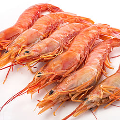 Wild Caught Argentine Red Shrimp, Frozen 4.4 lb