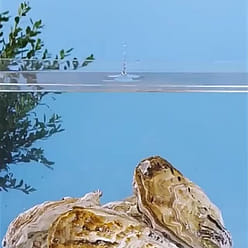 Instant Spicy Oyster Meat and Seafood Can 150 g