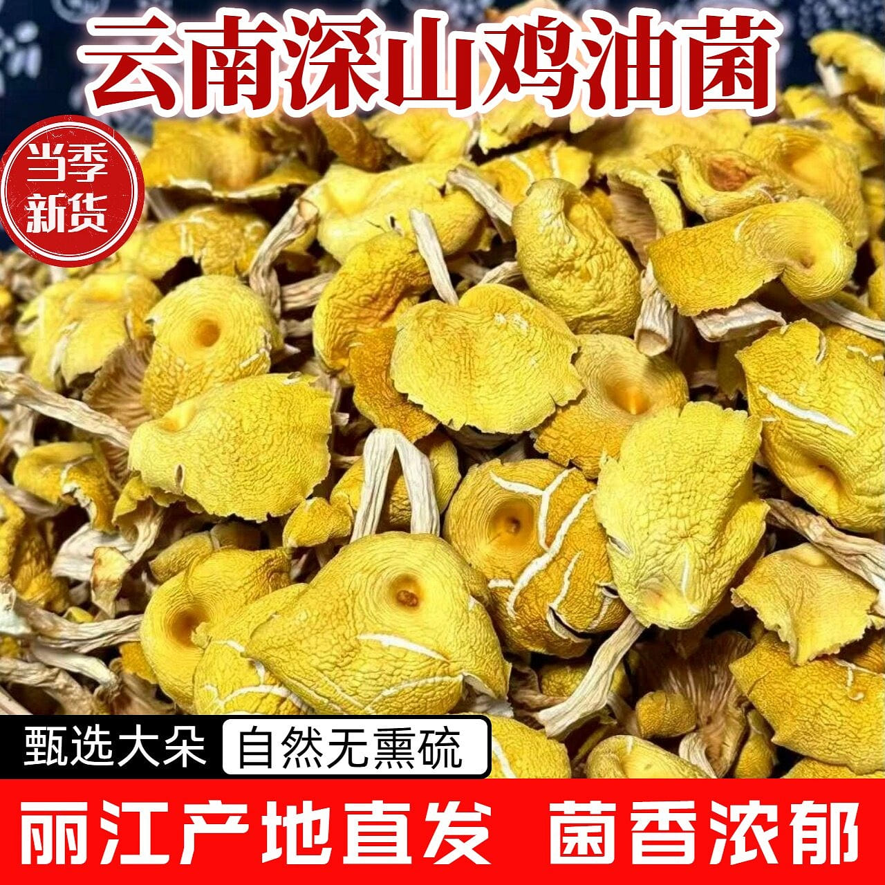 雪垚 雲南雞油菌乾貨 100 克