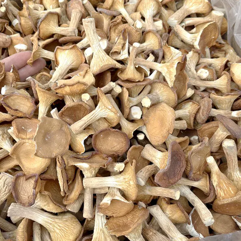 Pork belly mushrooms, dried agricultural products, native products, shiitake mushrooms, Yunnan mushrooms, 100g*1 bag 100 그램