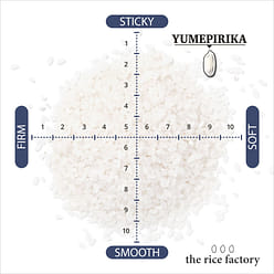 Hokkaido Yumepirika (2024 Crop) 15lb White 1 each