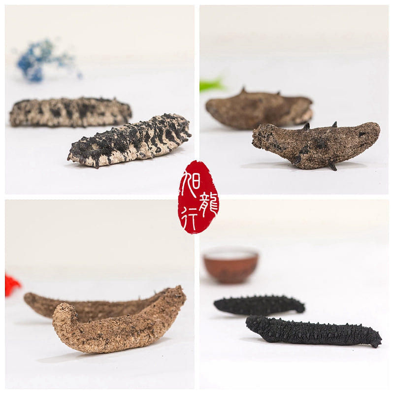 XLSEAFOOD Sea Cucumber Sample Combo (4 types) 1 개