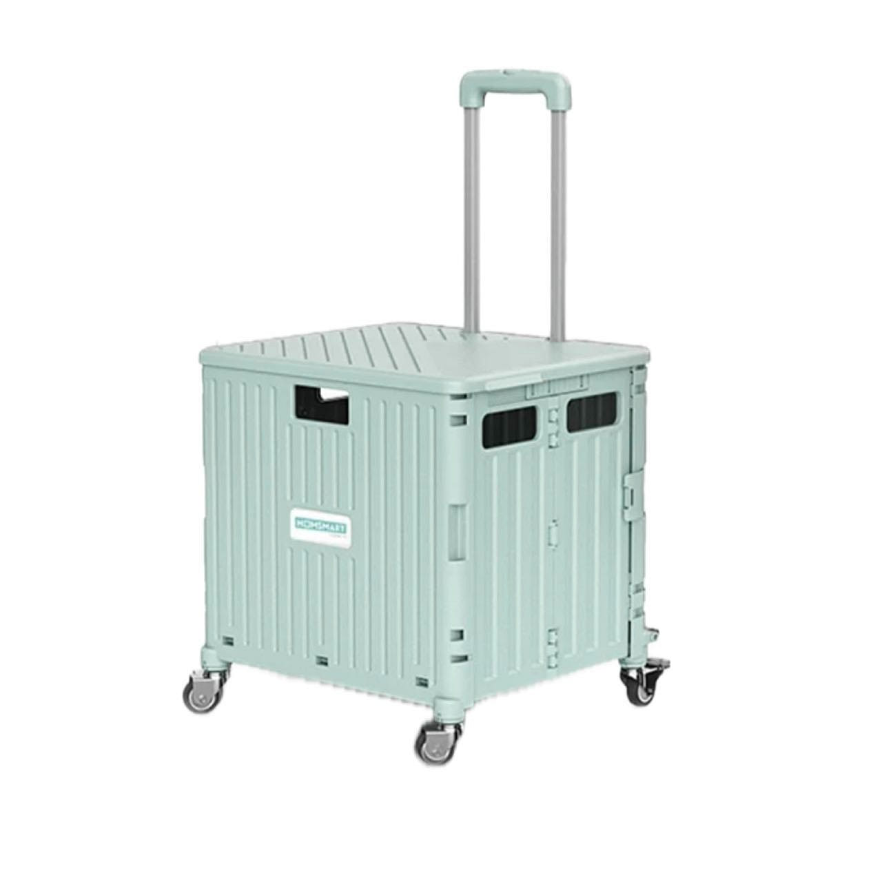 Folded Portable Lightweight Cart 65L 1 개입